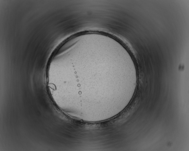 X0000101180887200807181445