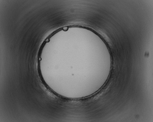 X0000101180888200807181445