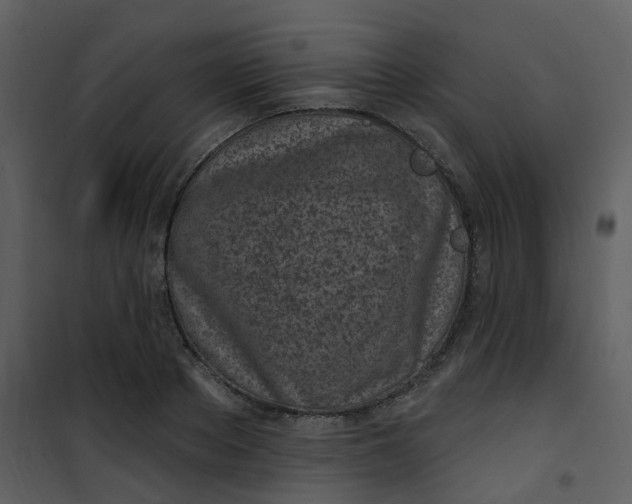 X0000101180889200807181445