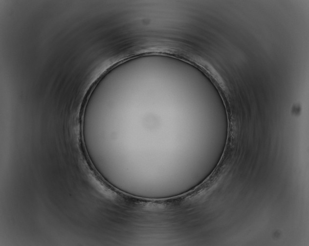 X0000101180890200807181445