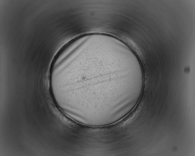 X0000101180892200807181445