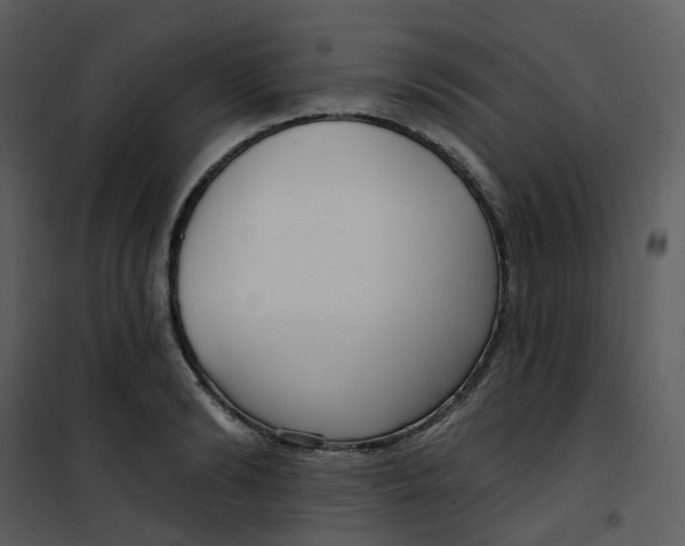 X0000101180894200807181445