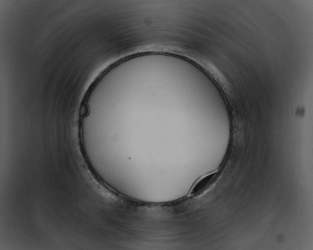 X0000101180896200807181445