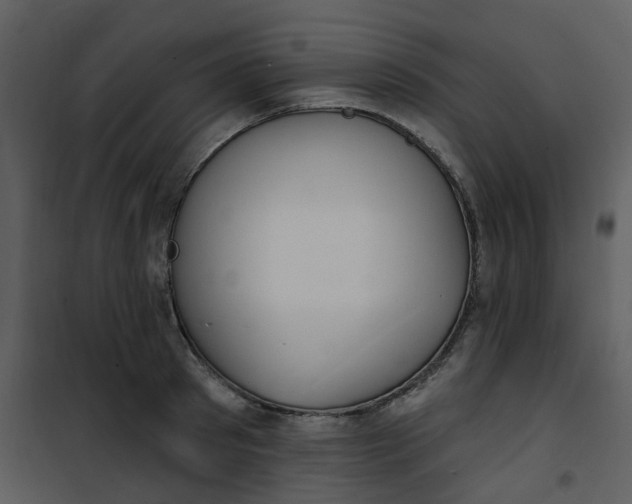 X0000101180897200807181445