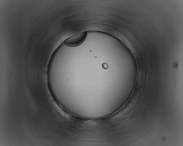 X0000101180898200807181445