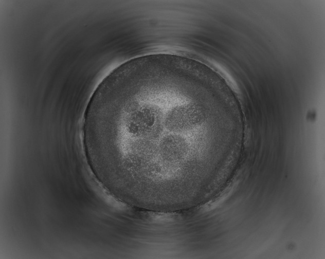 X0000101180899200807181445