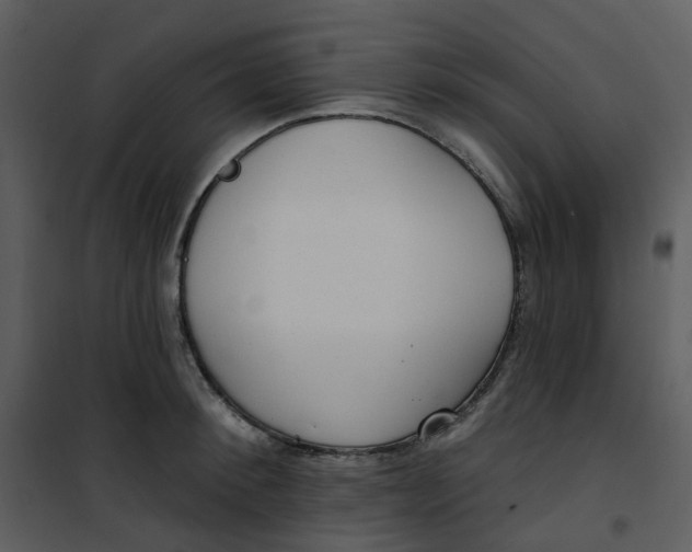 X0000101180900200807181445