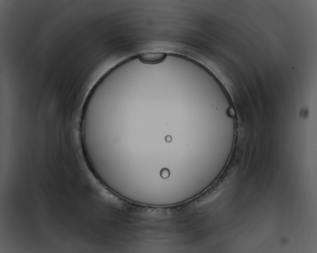 X0000101180901200807181445