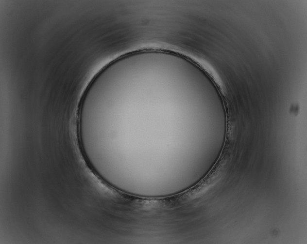 X0000101180903200807181445