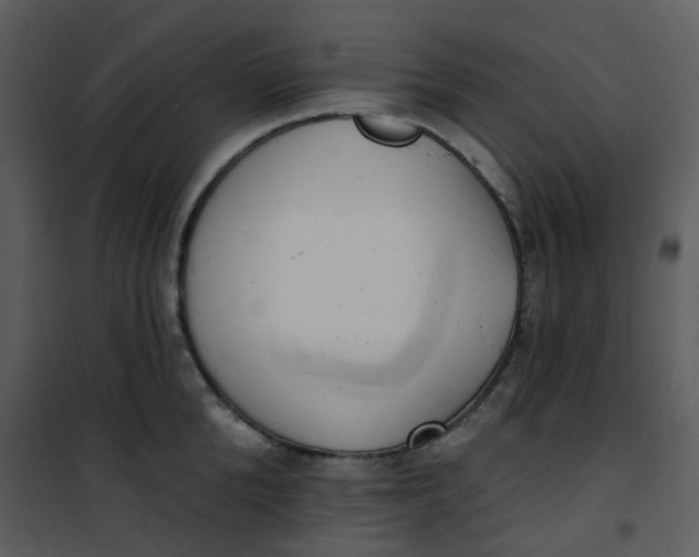 X0000101180904200807181445