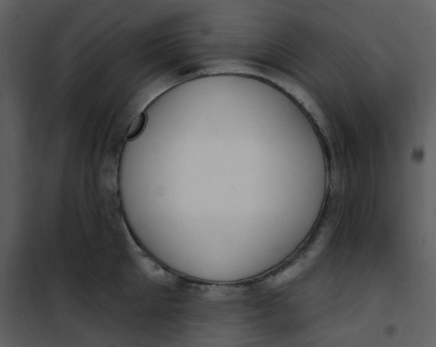 X0000101180905200807181445