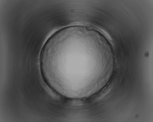 X0000101180907200807181445