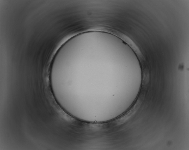 X0000101180908200807181445