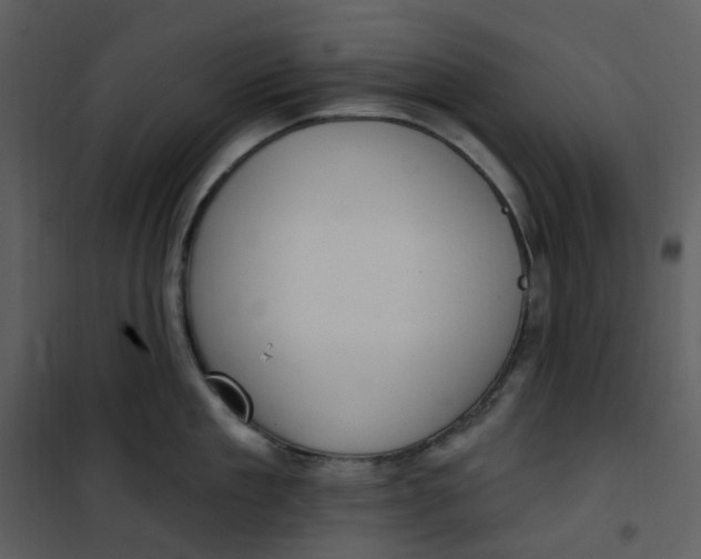 X0000101180909200807181445