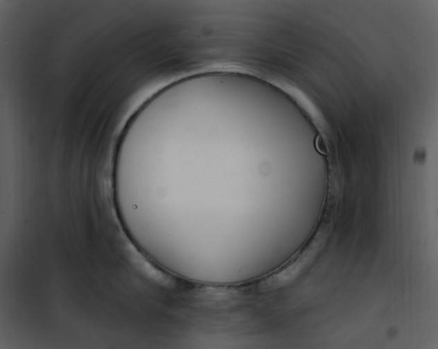 X0000101180910200807181445