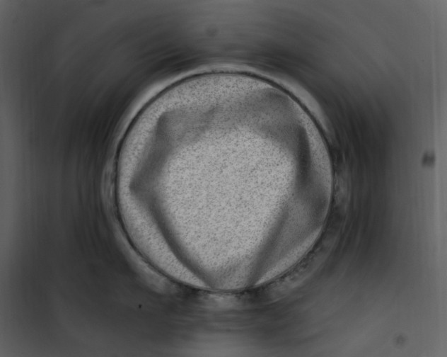 X0000101180911200807181445