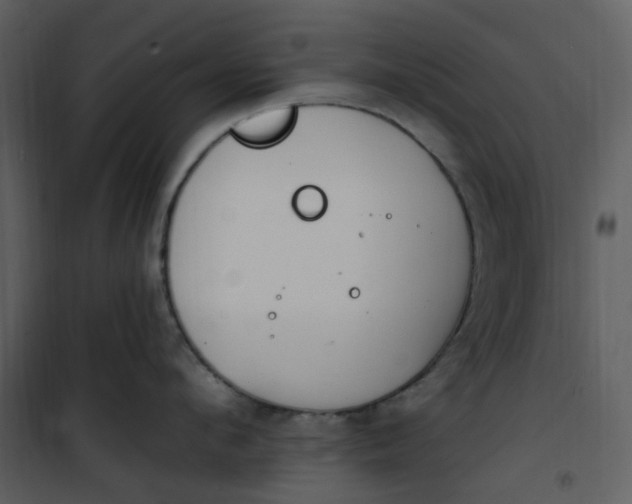 X0000101180912200807181445