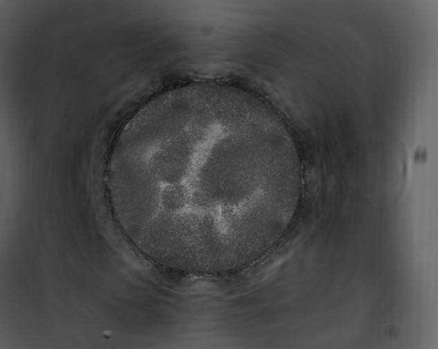 X0000101180913200807181444