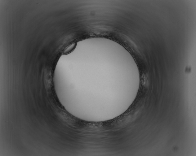 X0000101180915200807181444