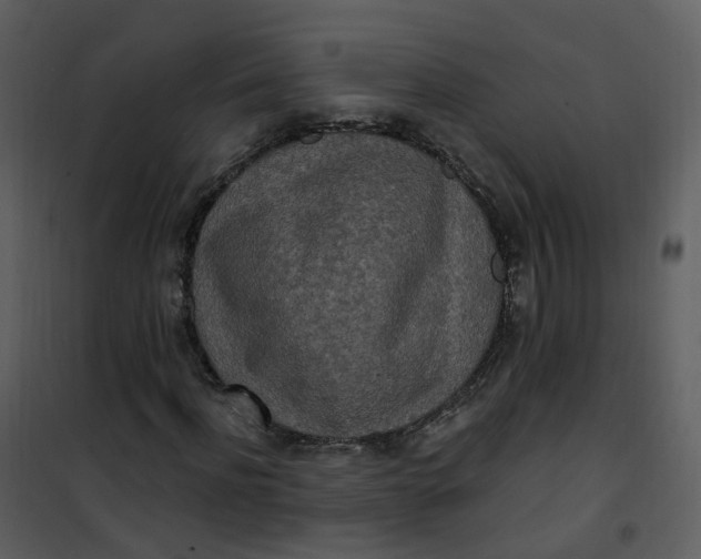 X0000101180916200807181444