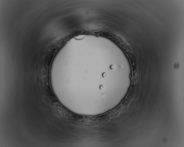 X0000101180917200807181444