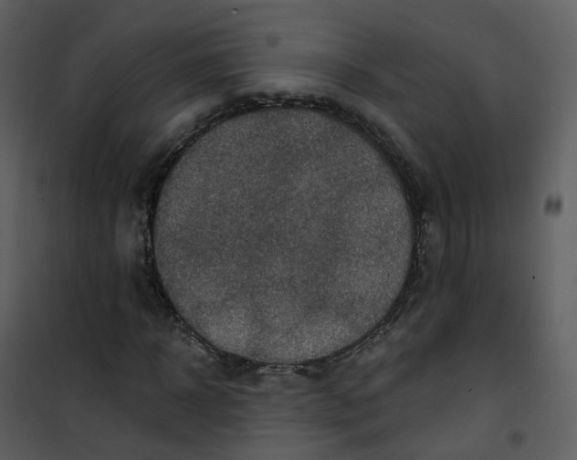 X0000101180918200807181444