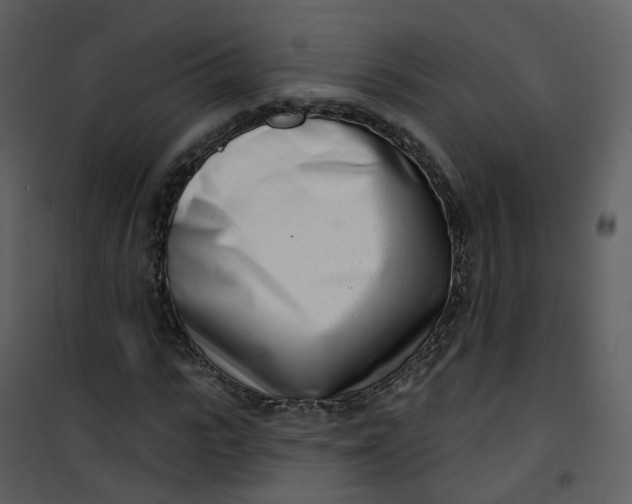 X0000101180919200807181444