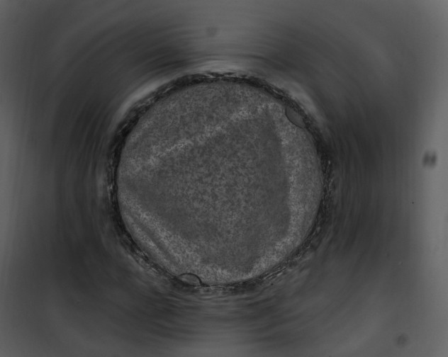 X0000101180920200807181444