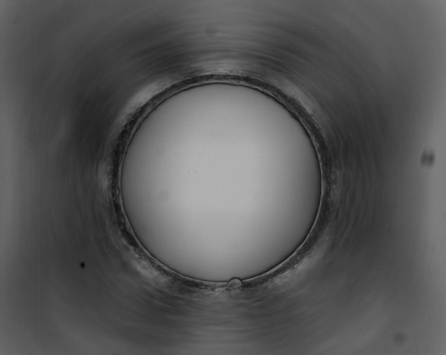 X0000101180922200807181444