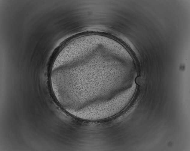 X0000101180923200807181444