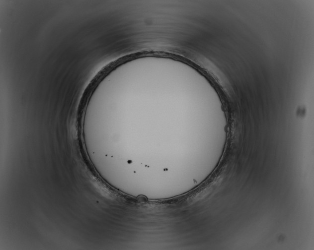 X0000101180924200807181444