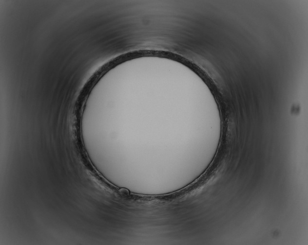 X0000101180926200807181444