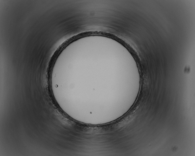 X0000101180927200807181444