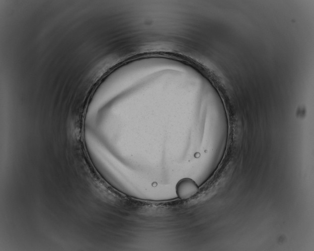 X0000101180929200807181444