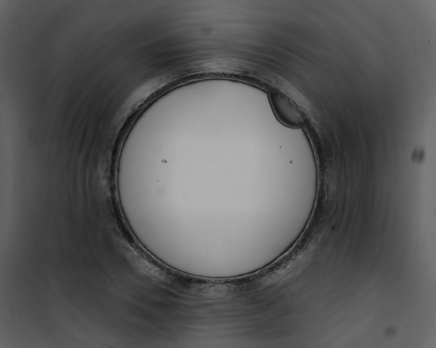 X0000101180930200807181444