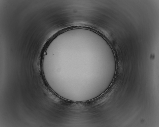 X0000101180931200807181444