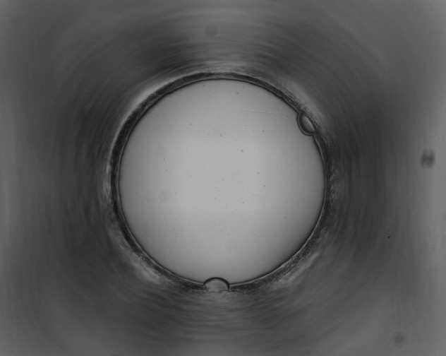 X0000101180932200807181444