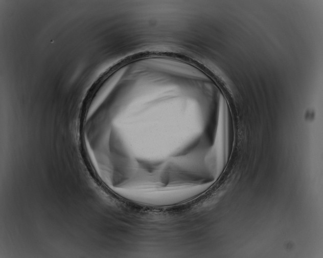 X0000101180935200807181444