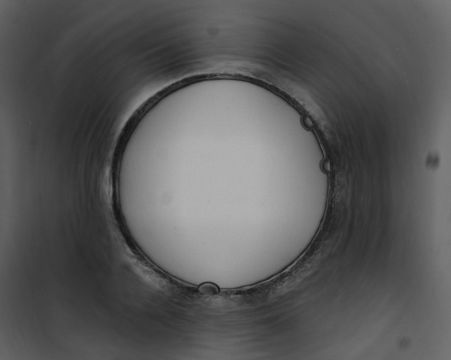 X0000101180936200807181444