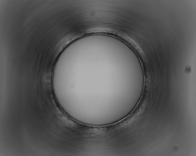 X0000101180937200807181444