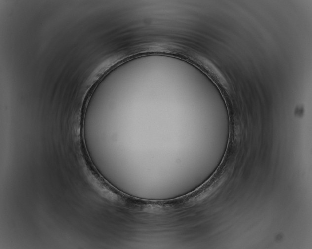 X0000101180938200807181444