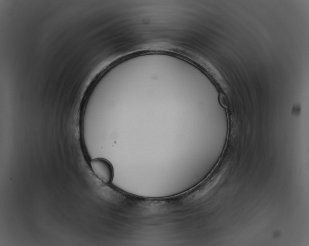 X0000101180939200807181444