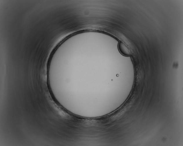 X0000101180940200807181444