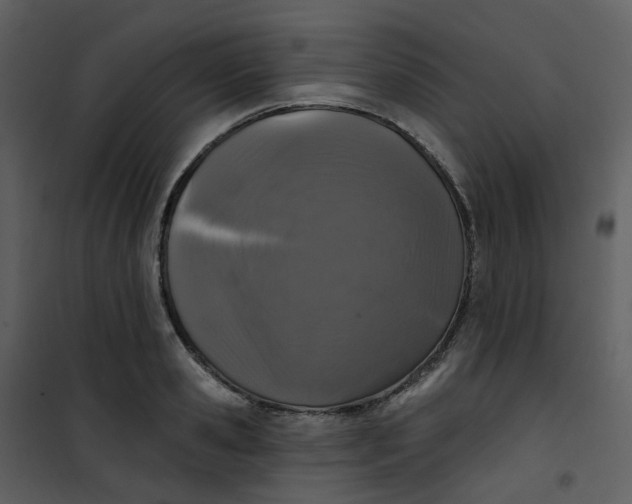 X0000101180941200807181444