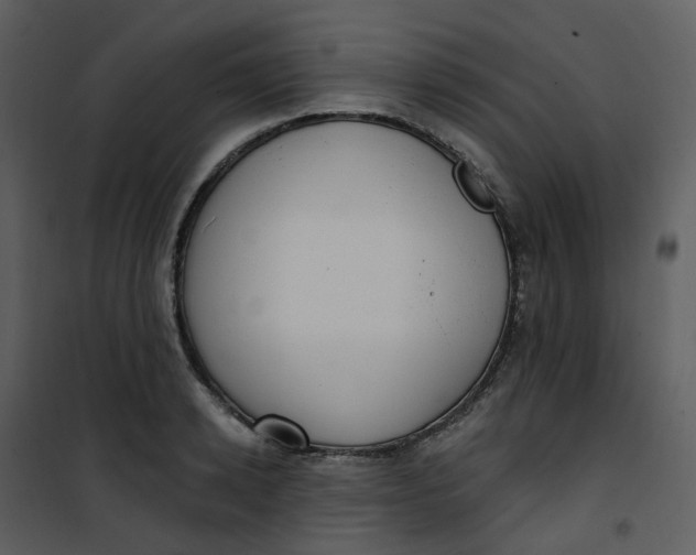 X0000101180942200807181444