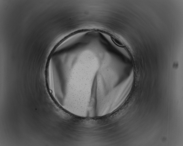 X0000101180943200807181444