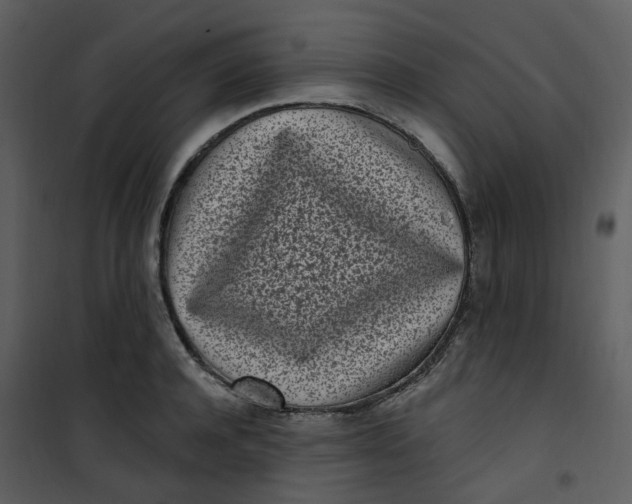 X0000101180944200807181444