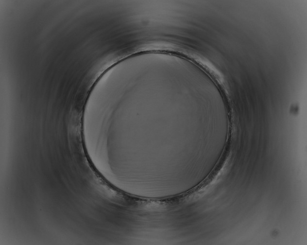 X0000101180945200807181444