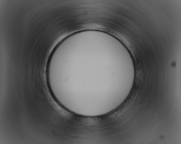 X0000101180947200807181444