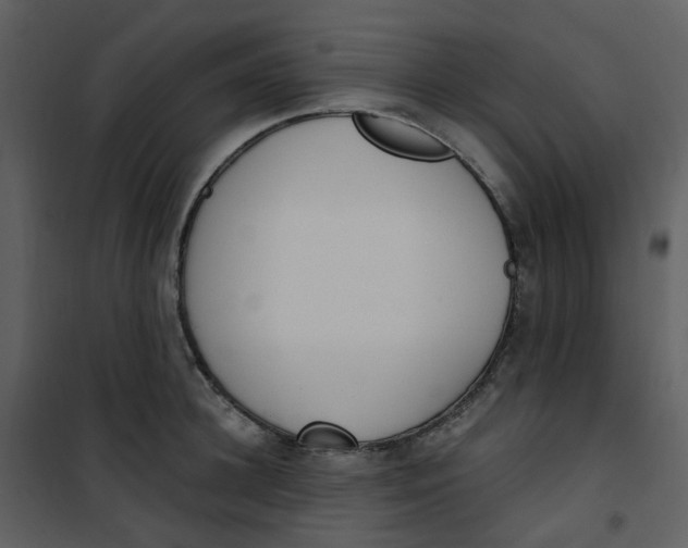 X0000101180948200807181444